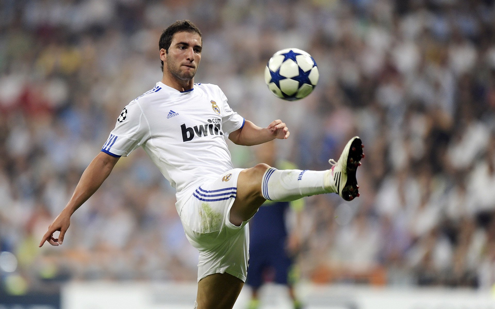 塞尔维亚男篮在欧洲预赛中奋勇追击，取得佳绩不断攀升，塞尔维亚男篮12人大名单